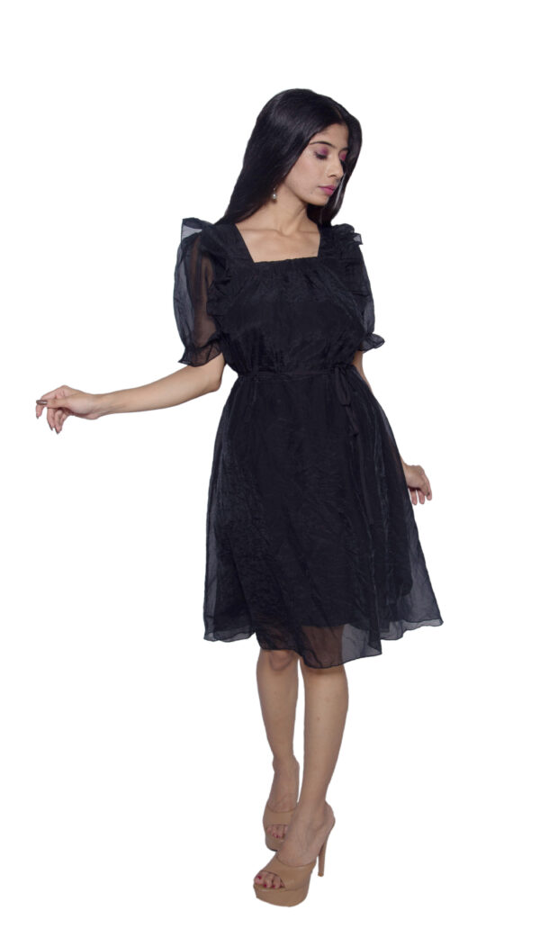 BLACK CHIFFON NET PARTY WEAR - Image 2