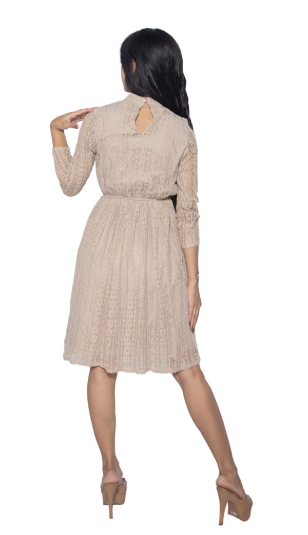 LIGHT BROWN CHIFFON ONE PIECE - Image 3